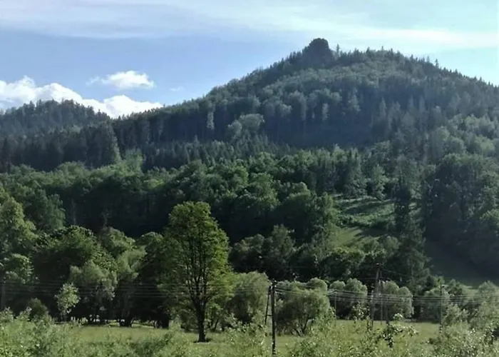 - Bobrowe Zacisze 3 *